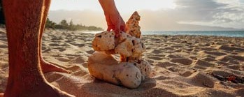 All inclusive Hotels All inclusive Hotels